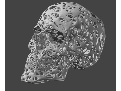 Organic Skull 3D Print model STL Lattice 3D print model 3D 프린트 모델