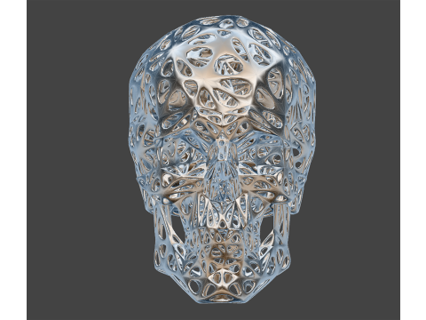 Organic Skull 3D Print model STL Lattice 3D print model 3D 프린트 모델