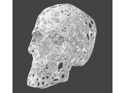 Organic Skull 3D Print model STL Lattice 3D print model 3D 프린트 모델
