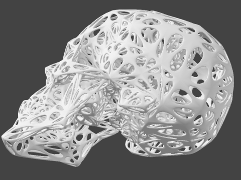 Organic Skull 3D Print model STL Lattice 3D print model 3D 프린트 모델