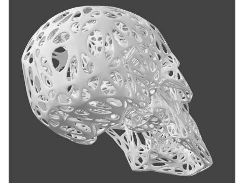 Organic Skull 3D Print model STL Lattice 3D print model 3D 프린트 모델