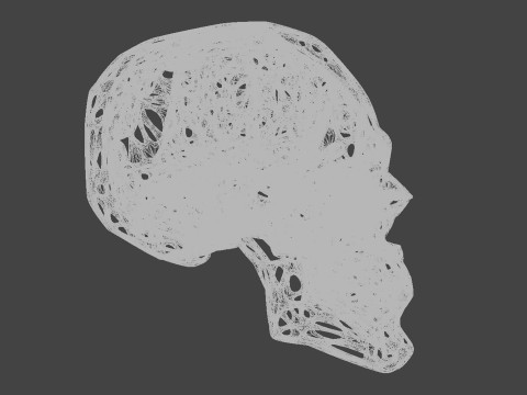 Organic Skull 3D Print model STL Lattice 3D print model 3D 프린트 모델