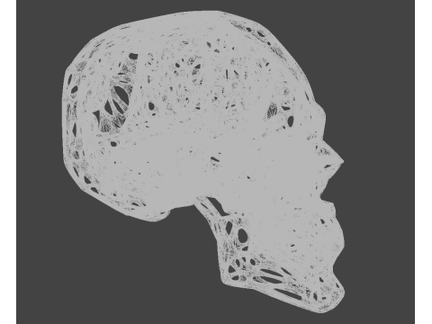 Organic Skull 3D Print model STL Lattice 3D print model 3D 프린트 모델