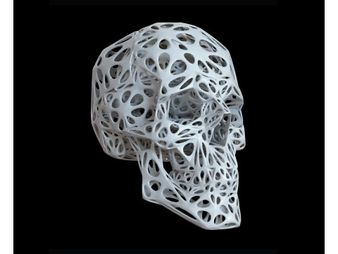 Organic Skull 3D Print model STL Lattice 3D print model 3D Print Model