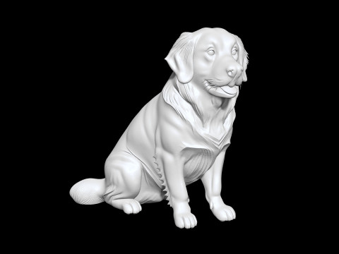 Golden Retriever 3D Printable 3D print model 3D Baskı Modeli