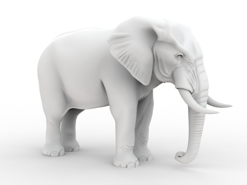 Realistic Elephant 3D Printable 3D print model 3D Druckmodell