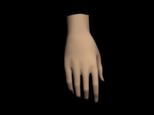 human hand Model 3D
