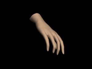 human hand 3D Model