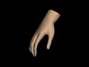 human hand 3D Model