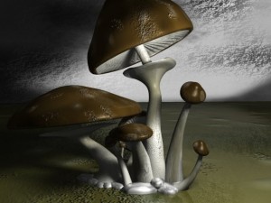 brown mushrooms 3Dモデル