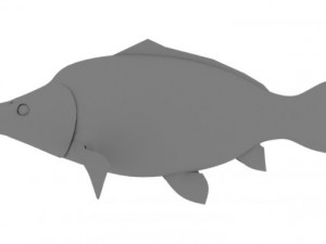 high detailed and animated carp fish 3D मॉडल