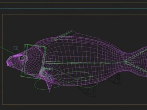 high detailed and animated carp fish 3D Model