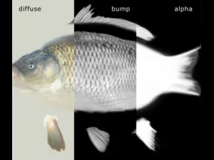 high detailed and animated carp fish 3D Model
