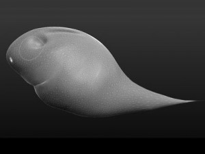 ghost shark 3D मॉडल