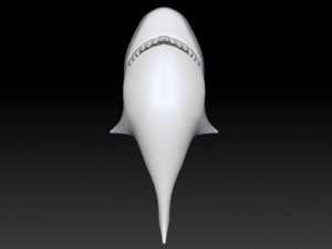 toon shark 3D Model