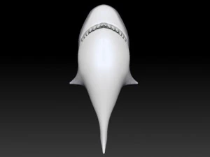 toon shark 3D Model