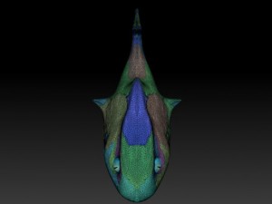 toon shark 3D Model