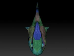 toon shark 3D Model