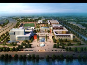 3d building 801 3D Model