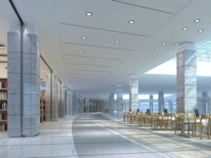 library 002 3D Model