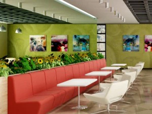 ношери 3D Модель