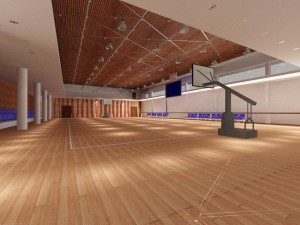 gym 12 3D Модель