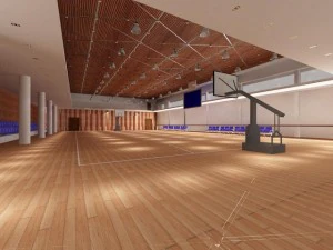 gym 12 3D Model