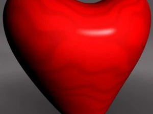 cours de coeur Modèle 3D