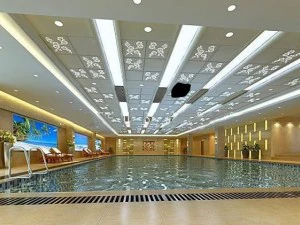 palestra 008 Modello 3D