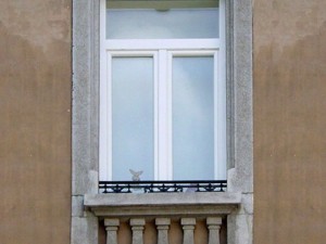 luxemburg architecture windows005 3D Model