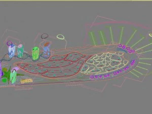 building 095 3D Model