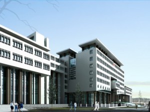 building 224 3D Model