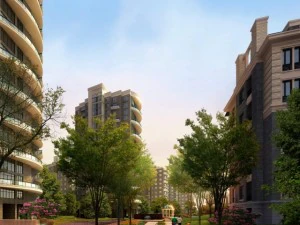 building 247 3D Model