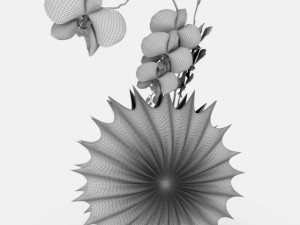 decovase Modello 3D