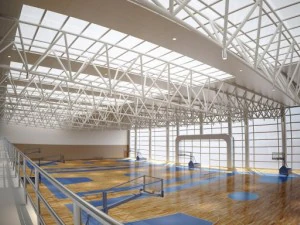 basketball 001 3D Model