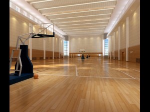 basketball 002 Modello 3D