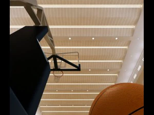 basketball 002 3D Model