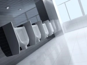 public toilet 005 3D Model