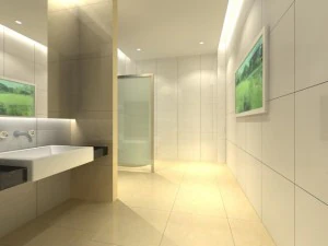 громадський туалет 009 3D Модель