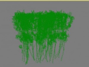 shrubs 3D Модель