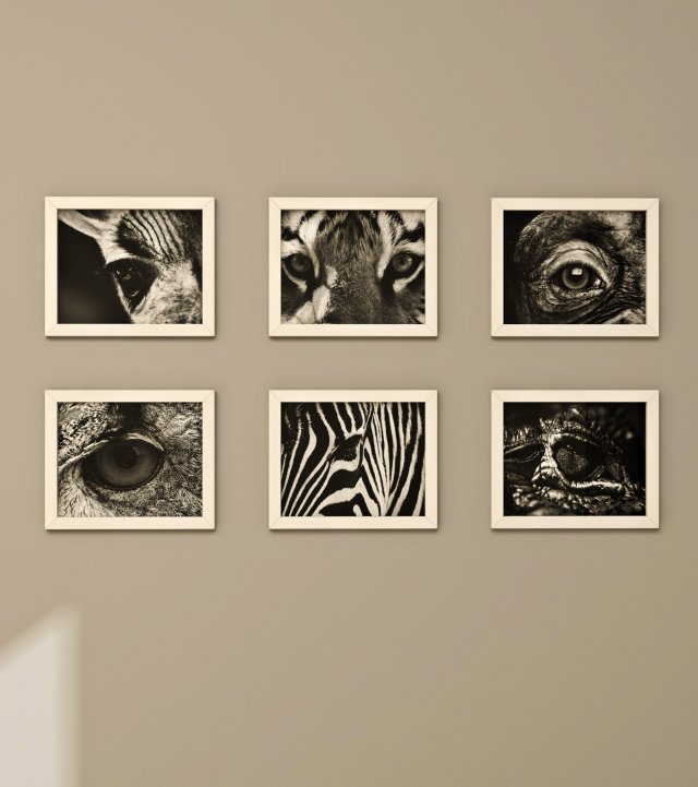frames pack 2 3Dモデル .c4d .max .obj .3ds .fbx .stl .blend