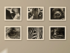 frames pack 2 3Dモデル