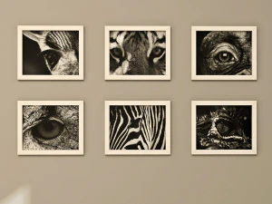 फ़्रेम पैक 2 3D मॉडल