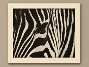 frames pack 2 3Dモデル