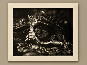 frames pack 2 3Dモデル