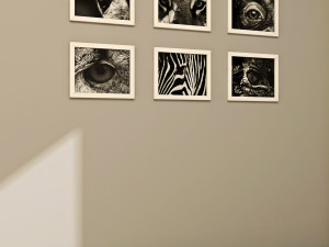 frames pack 2 3Dモデル
