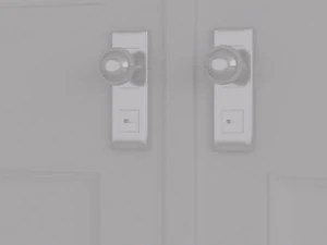 classic double door 3D Model