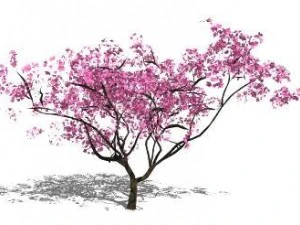 &aacute;rbol Modelo 3D