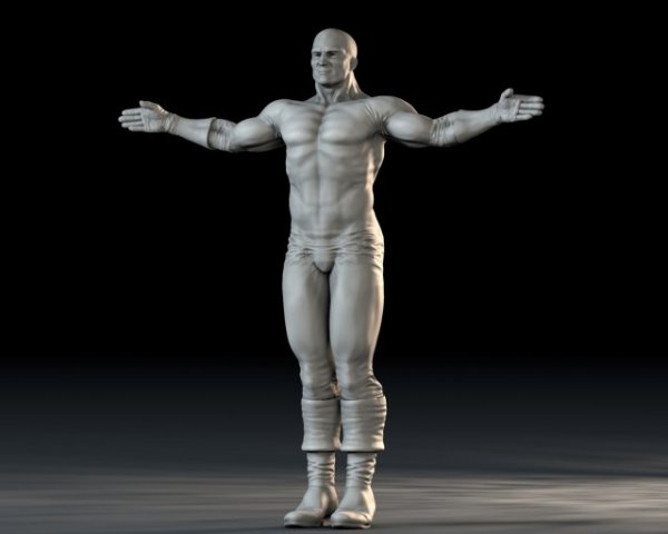 superhero base rig wgloves and cuffed boots 3D Model .c4d .max .obj .3ds .fbx .stl .blend 