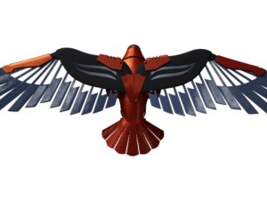 eagle 3D 모델